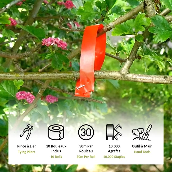 Ruban doux pour ne pas abîmer les tiges 🌱